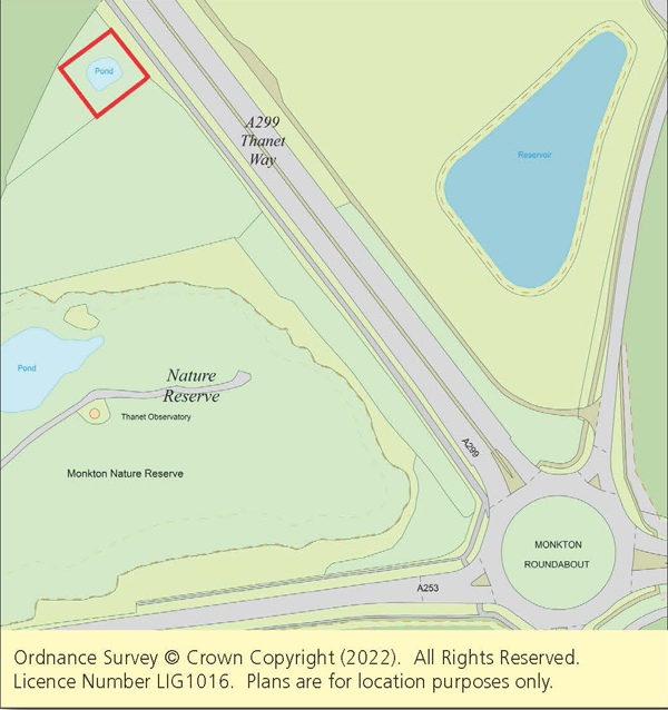 Lot: 53 - QUARTER ACRE SITE -